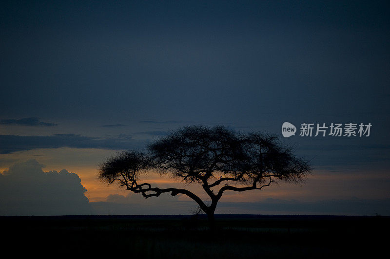 结束在非洲/坦桑尼亚的狩猎之旅